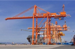 Cảng Hải Phòng đưa 2 cần trục giàn tầm với 14 hàng container vào hoạt động